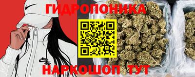PSILOCYBIN Лесосибирск