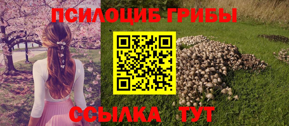 Псилоцибиновые грибы прущие грибы  Вход с VPN  Псилоцибиновые грибы прущие грибы  Знаменск 